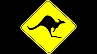 The Native Animal Experience In Melbourne Australia