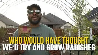 Planting Luffa, Trellising Flowers & Radishes | Garden Bed Glow-Up Begins