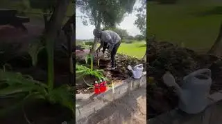 Garden Upgrades at St Francis Bay
