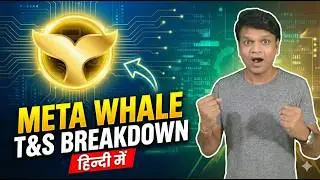 Meta Whale क्या हैं T&S Project हिन्दी Explained #metawhale #metaforce #teamyay #bitcoin #ces #mfs