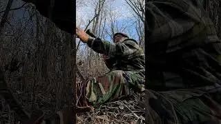 killing a pair of Oklahoma coyotes.