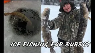Ice Fishing For Burbot!