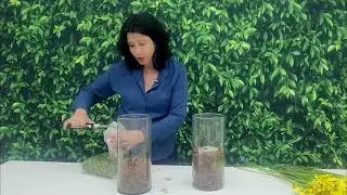 Como Preencher um Vaso de Vidro para Fazer um Arranjo #shorts