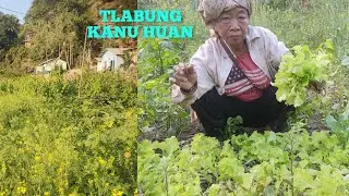 Kanu Lui kam huan, a thlai chi hrang2 enkual ang aw..