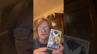 Tarot Tails &ndash; Choose Love. Let Joy Be Enough (1/30)  #petwellness #tarot #dogtarot