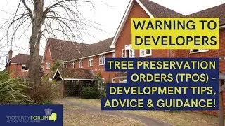 Warning to Developers ⚠️ Tree Preservation Orders (TPOs) - Development Tips, Advice & Guidance!