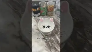 Feed my cats with me 🍽️  #catfood #catfeeding #asmr #catasmr