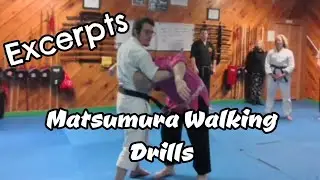 Webinar Excerpts: Matsumura Walking Drills with Kyle Doan