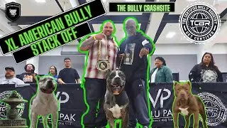 XL AMERICAN BULLY  STACK  OFF | ROSWELL NEW MEXICO | 2024