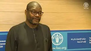 Remarks by Gbehzohngar Findley, Minister for Foreign Affairs of Liberia