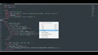 Simple HTML and CSS webpage about a Crypto Coin
