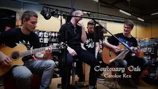 Centenary Oak - Carolus Rex (Sabaton acoustic cover)