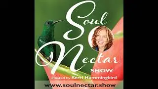 Self Sabotage to Self Love with Marcy Neumann