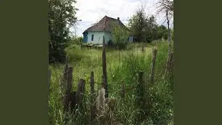 Sounds of Nature in the Village.