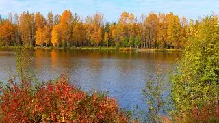 8 Hours of a  Crisp Autumn Day in Alaska