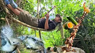 survival,build a water tank,Grilled birds eat alone in the deep forest ( part 2 )