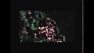 Radiorobot - No way out
