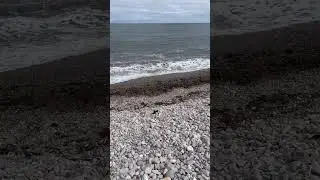 Pebble beach #scotland #dolphin #pebble