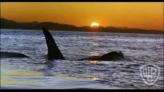 Free Willy - Trailer #5