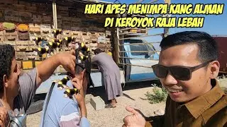 ORANG ARAB BADUY PANEN MADU LEBAH DI TENGAH GURUN PADANG PASIR @AlmanMulyana1983