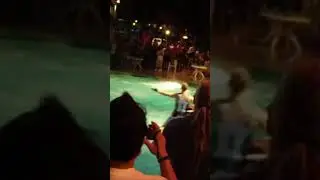 First-ever pool jet ski backflip by Lee Stone at Kokomos world finals