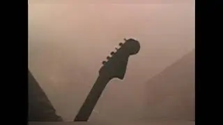 Cheshire Cat Live Performances (Low Quality)