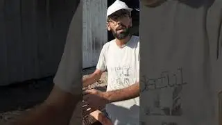 جولة في معاصر الزيتون في دير البلح رغم الhرب