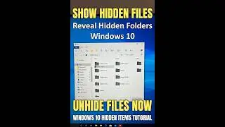 How to Show Hidden Files, Folders & Drives in Windows 10 (2026 Easy Guide)