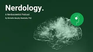Nerdology: Nerdy Thoughts on the Problem of Implicit Association Tests in Consumer Research