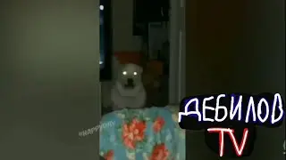 (ДЕБИЛОВ ТВ 2) Смешные коты озвучка музыка