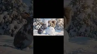 Barf Me Masti karte Rabbit aur Squirrel । Cartoon Story #animalcartoon