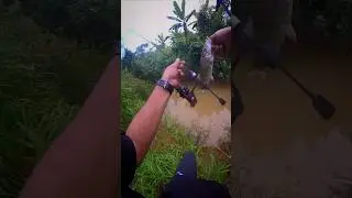 mencari cabaran x UL... #fishing #angler