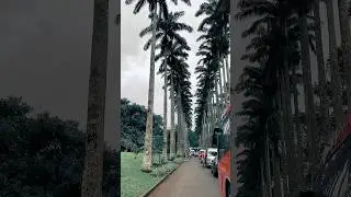 A TOUR IN ABURI GARDENS GHANA #fypシ゚viral #explorepage #explore #ghana