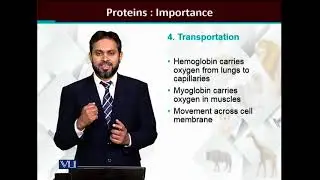 Proteins: Importance | Cell Biology | BIO5105_Topic016