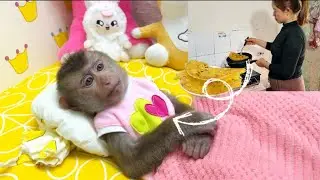 Baby monkey Tina was awakened by the aroma of donuts made by her mother.