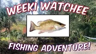Weeki Watchee Fishing Adventure - What Did I Catch? #florida #subscribe #youtube #snapper #life
