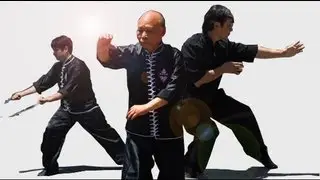 Opening of Tiger Crane Kung Fu - Sifu Kurtis Fujita - Grand Master Yc Wong Lineage