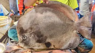 Amazing । Spade Fish Cutting Skills In Fish Market By Expert।  Cutter