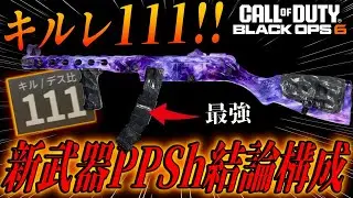 【世界初】新武器『PPSH-41』最強カスタムで驚異のキルレ111達成！！【カスタム紹介】【BO6】