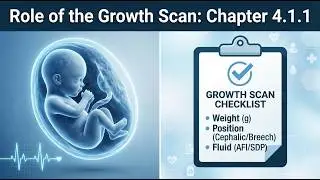 Low Weight? | Doppler Scan Guide | Pregnancy - English | Fetal Growth Restriction Advice