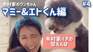 【癒し】工藤静香×甘えん坊エトくん