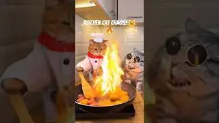 Cats + Frying Pan = Disaster! 🐾🔥