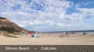 Stinson Beach California Great Beach Great Surf Great White Sharks