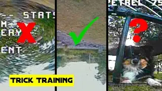 From Sim to Reality - Continuing My Trick Traning with Dominator V1 and Petrel 75!