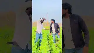 Gav ki auraton ke beech ladayi #youtubeshorts #youtube #comedy #newमारवाड़ीcomedy #myvideo #funny