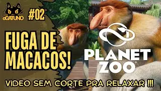 2# CORRERIA! O MACACO 🐒 FUGIU do ZOOL&Oacute;GICO! no Planet Zoo - PC PTBR 4K