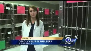 Disease in Animal Shelters