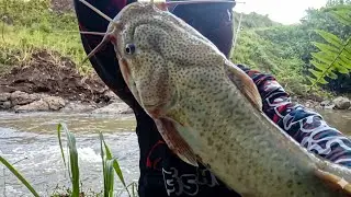 Dua kali mocel akhirnya berhasil strike!! 