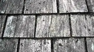 In Awe Roofing How To Replace A Cedar Shake Shingle