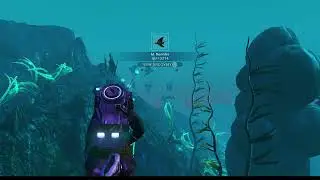 No Man's Sky Community Expedition 11 The Teeming Oceans